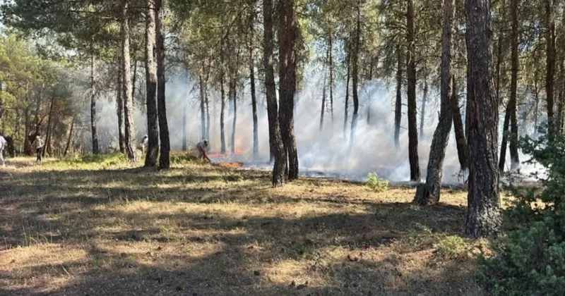 Tavşanlı da erken müdahale ormanı kurtardı