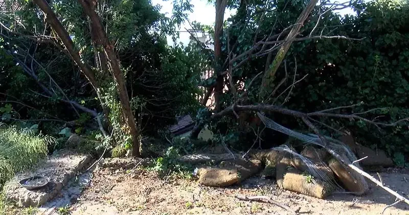 Üsküdar da forklift evin bahçesine düştü: sürücü hayatını kaybetti