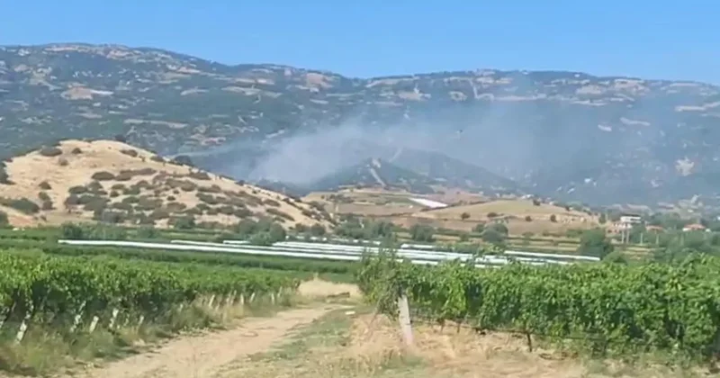 Manisa da makilik alanda çıkan yangın ormana sıçradı! Ekiplerin müdahalesi sürüyor