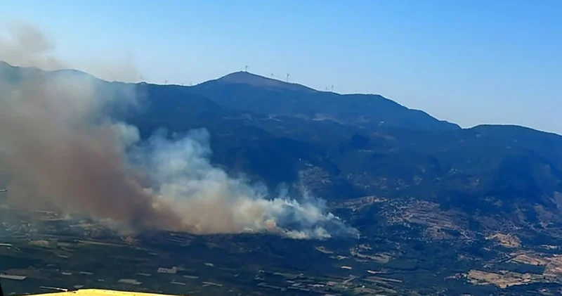 İzmir Menemen de çıkan yangın kontrol altına alındı Son dakika haberleri