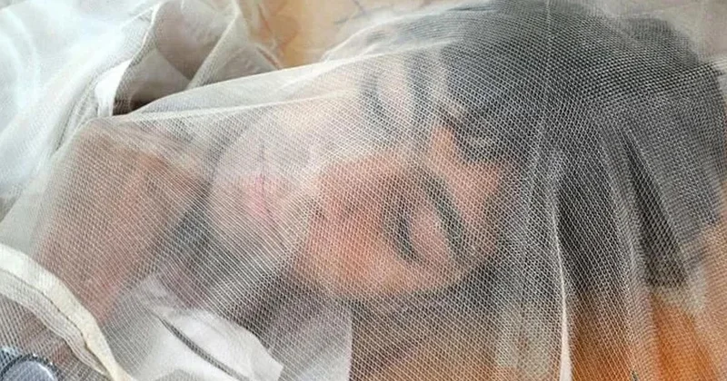 Batı Nil Virüsü Yunanistan da Yayılıyor