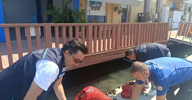 İzmir de yasa dışı yollarla avlanılan 560 kilo kara midyeye el konuldu İzmir Haberleri Habertürk Yerel Haberler