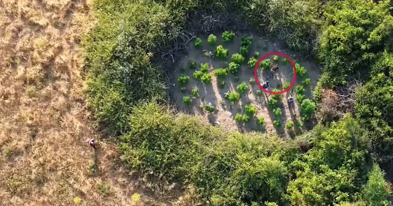 Sosyal medyayı kullanmışlar! Binlerce polisten dev operasyon