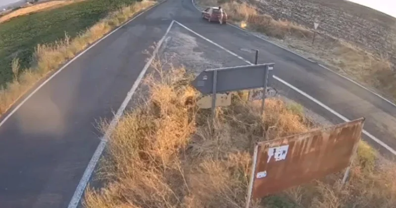 Çakmağı çıkarıp sit alanını ateşe verdi: O anlar kamerada