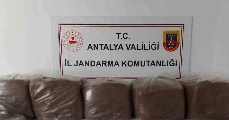 Alanya ve Demre’de 285 kilo kaçak tütün ele geçirildi