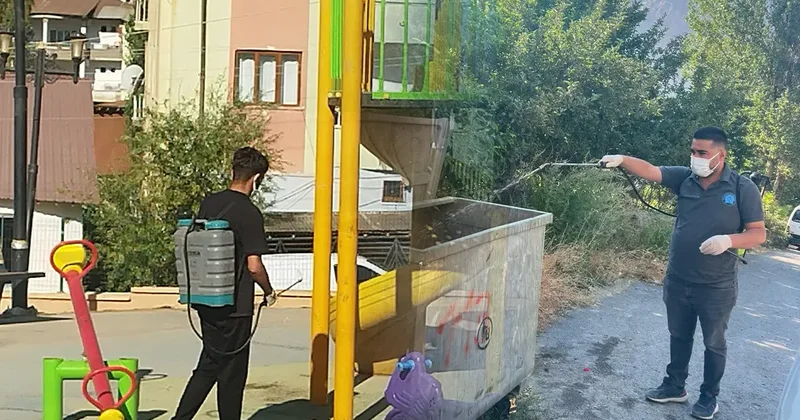 Kara sinekler bir kenti ele geçirdi! Mücadele sürüyor