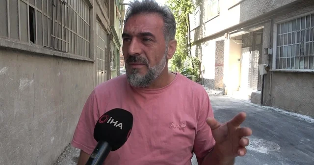 Bursa da hayvanlara şiddet iddiası: Apartmandan dehşet çıktı, mahalleyi pireler bastı Bursa Haberleri Habertürk Yerel Haberler