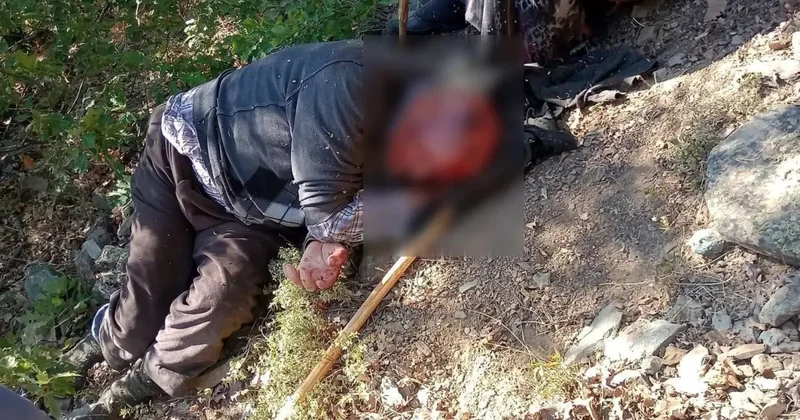 Kuşburnu toplarken 30 metrelik uçuruma yuvarlandı: Ekipler seferber oldu