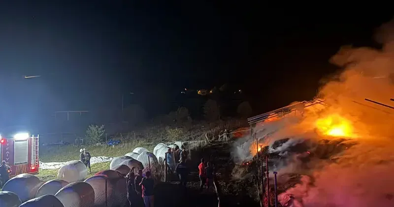 3 bin balya ot yandı, 10 ton buğday kurtarıldı