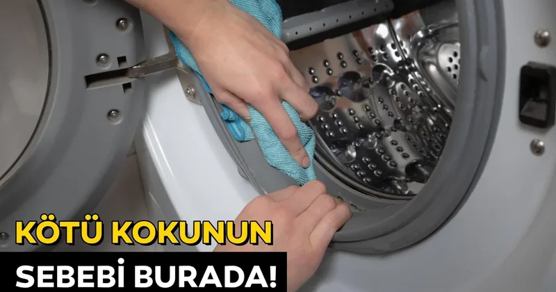 Çamaşır makinesinin ömrünü uzatan küçük sır! Hem temizliyor hem tasarruf sağlıyor
