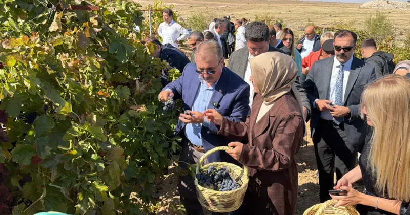 Destici, memleketinde bağbozumu etkinliğine katıldı