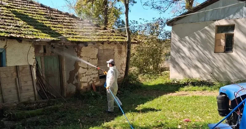 Düzce’de kahverengi kokarcaya karşı kışlak mücadelesi başladı