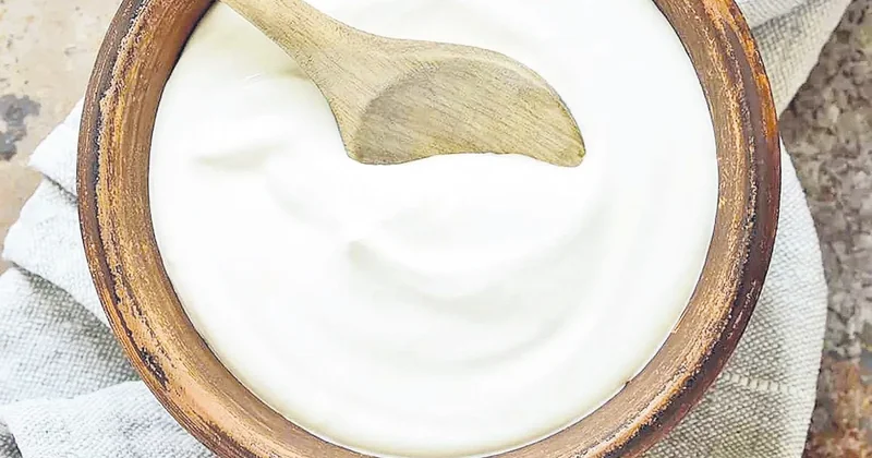 İDİL AÇIKALIN Her yiğidin yoğurt yiyişi farklı