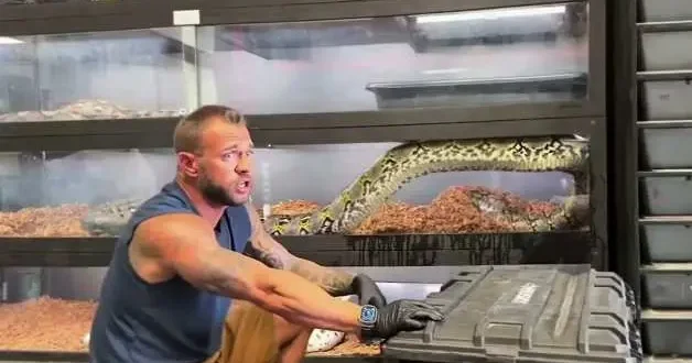 ABD de dev piton cam kafesini kırarak dışarı çıktı
