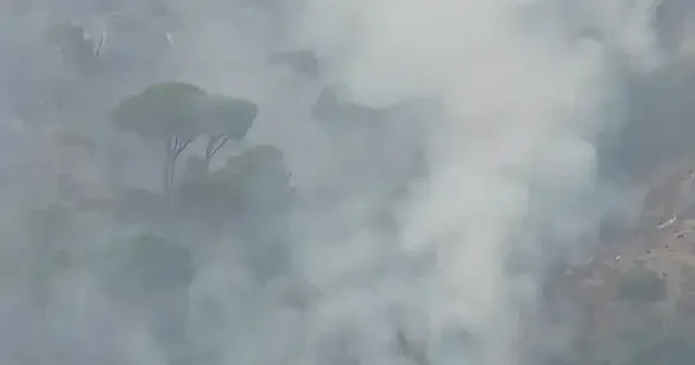 İsrail saldırıları Lübnan da orman yangınlarına neden oluyor VİDEO İZLE