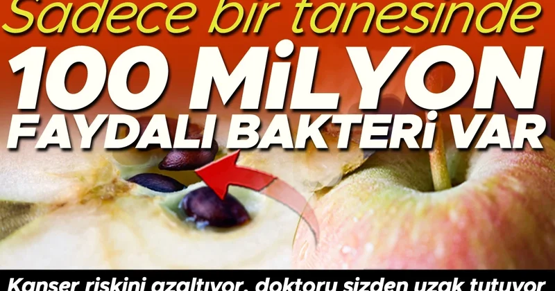 Günde bir elma gerçekten doktoru uzak tutabilir mi? Sadece bir tanesi 100 milyon faydalı mikrop içeriyor