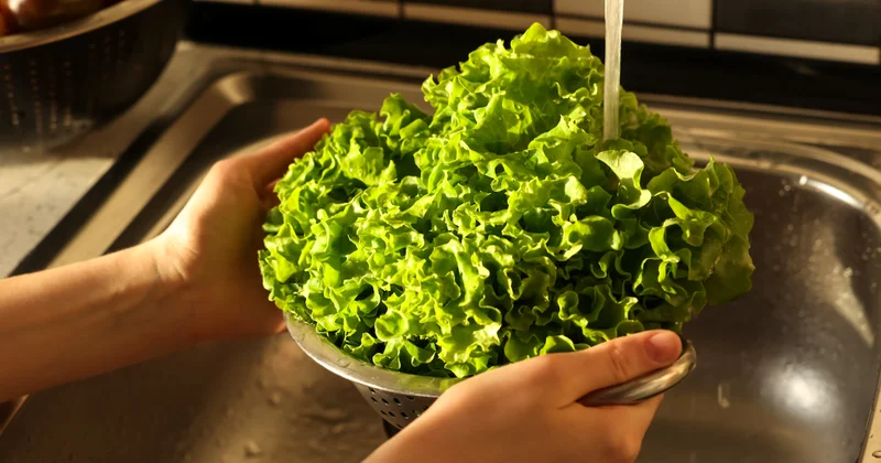 Marul maydanozdaki pestisiti derinlemesine temizliyor: Tek mutfak malzemesi yeter Sözcü Gazetesi