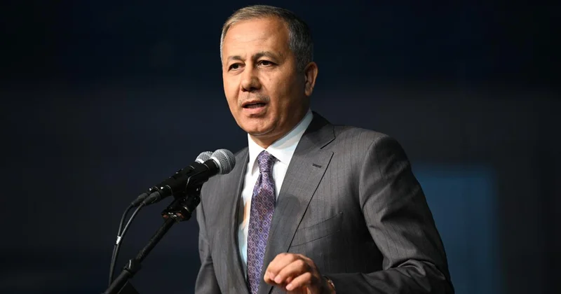 Bakan Yerlikaya, düşen uçak için Gürcü mevkidaşıyla görüştü