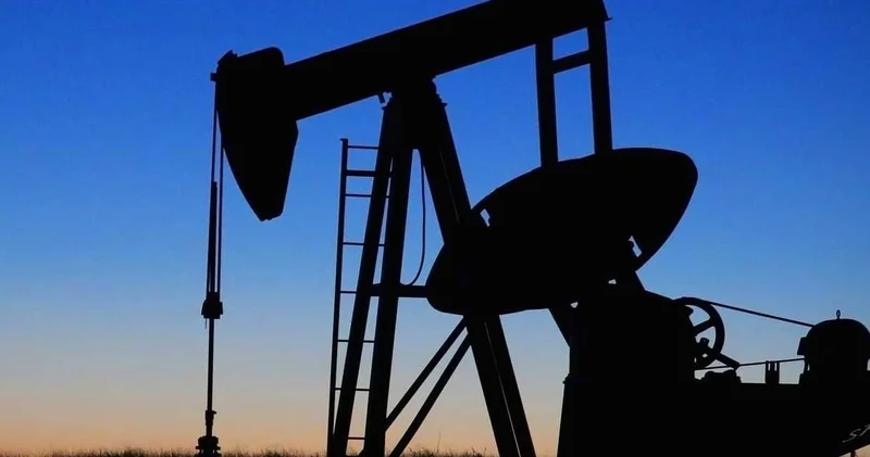 3 milyar dolarlık zarara karşı operasyon