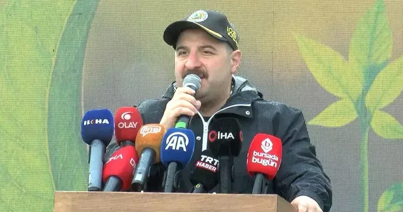 Varank: Kanunen, yanan ormanlar sadece orman yapılabilir