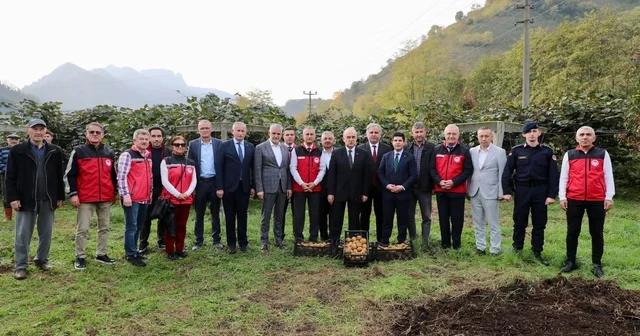 Tescilli Ordu kivisinde hasat başladı: İlin ekonomisine 520 milyon TL katkı Ordu Haberleri