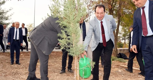 Dicle Üniversitesinde fidanlar toprakla buluşturuldu Diyarbakır Haberleri