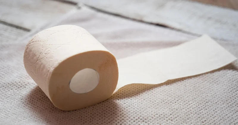 Almanlar neden kahverengi tuvalet kağıdı kullanıyor? Sözcü Gazetesi