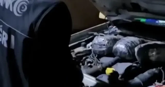 Doğubayazıt’ta 3 kilo 154 gram skunk ele geçirildi VİDEO İZLE