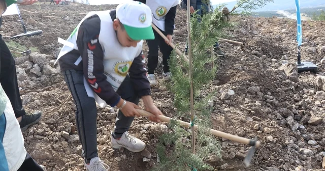 Denizli de yanan alanlarda binlerce fidan toprakla buluştu Milli Ağaçlandırma Günü Kapsamında, Denizli de yangında zarar gören alan ağaçlandırıldı Denizli Haberleri