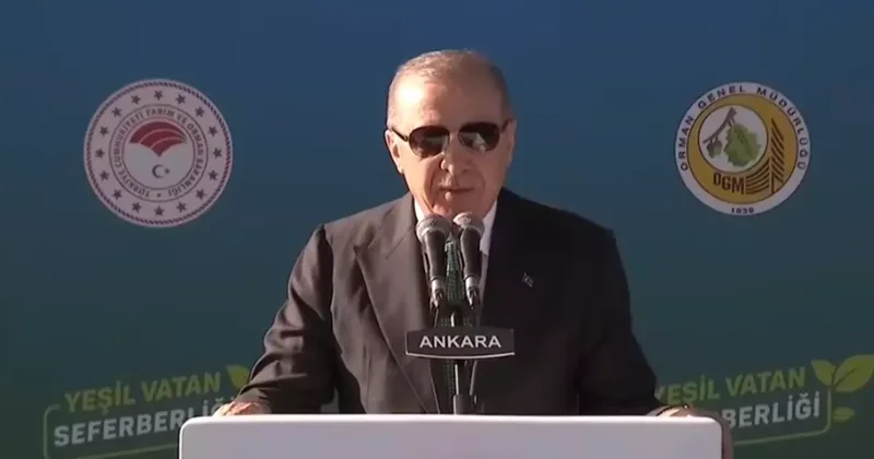 SON DAKİKA Cumhurbaşkanı Erdoğan: 1 günde fidan dikme rekoru kıracağız