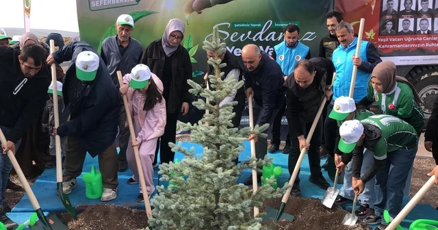 Orman şehidi Eyüp Dereli adına oluşturulan alana 15 bin fidan dikildi Şehidin ikiz kardeşi ve çocuğu, hatıra ormanı oluşturulması hakkında konuştu Eskişehir Haberleri