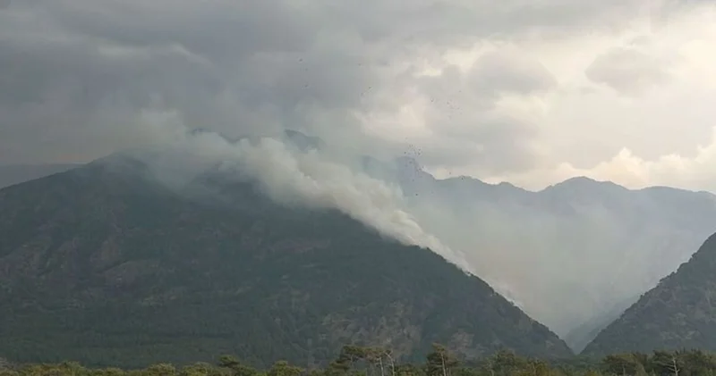 Hatay da 2 farklı noktada çıkan orman yangını kontrol altına alındı