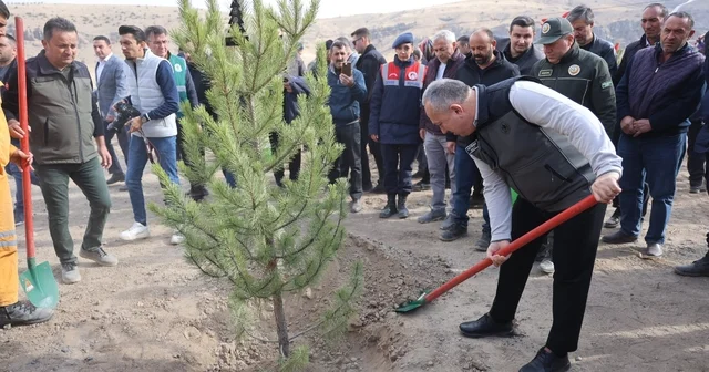 Nevşehir de 18 bin 500 fidan toprakla buluştu Nevşehir Haberleri