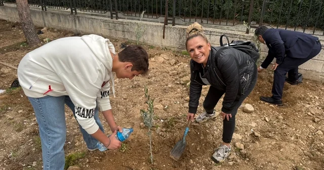 Okul bahçesine 60 zeytin fidanı dikildi Manisa Haberleri
