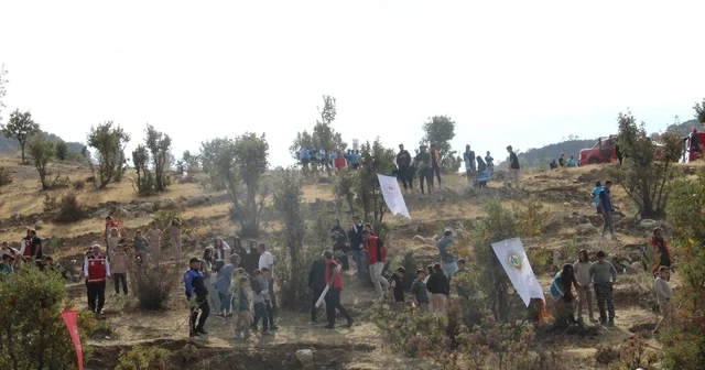 Şırnak ta Adliye Hatıra Ormanı kuruldu Vali Ekici: Şırnak ın yüzde 44 ü ormanlık alan, ama bu yetmez Şırnak Haberleri