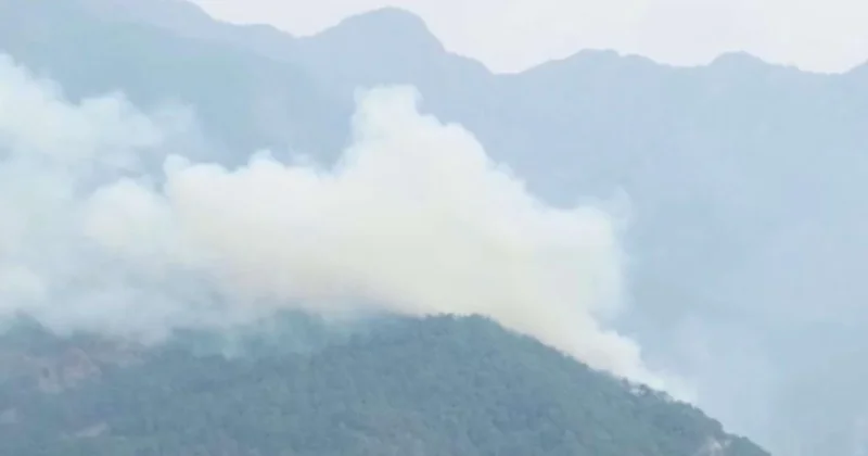 Yıldırım orman yangını çıkardı: Ekipler seferber oldu Sözcü Gazetesi