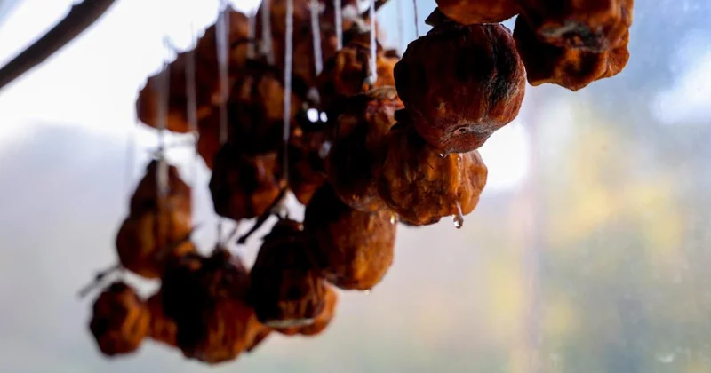 Bahçeden toplayıp sobada kurutuyorlar: Kilosunu 600 liraya satıyorlar Sözcü Gazetesi