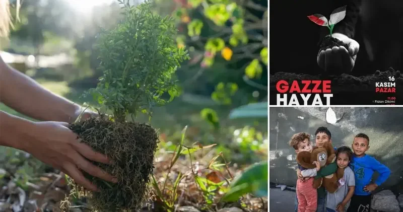 Gazze Umut Ormanı Arnavutköy de kuruluyor Aktüel Haberleri