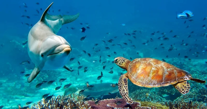 Zaman onlara işlemiyor: İşte yaşlanmayı adeta unutan canlı türleri