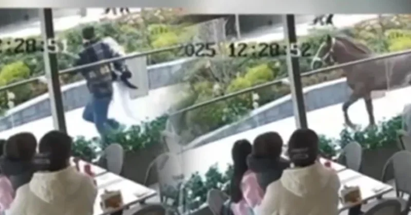 Dört nala koşan at insanları kovaladı! Bu görüntü İstanbul un ortasından Sözcü Gazetesi