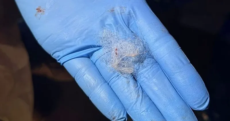 Ufacık yün parçası 57 milyon TL lik ticareti durdurdu Sözcü Gazetesi