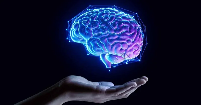 Beynimiz kendini 4 kez yenileniyor ve bunu 4 ayrı yaşta yapıyor! İşte beynin yenilendiği yaşlar Sözcü Gazetesi