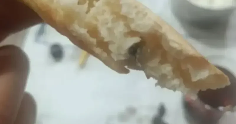 Ekmeğin içinden çıkan mide bulandırdı Siirt Haberleri