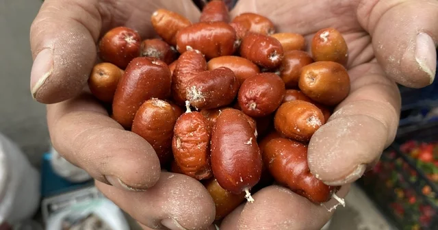 Alaşehir de iğde ağaçlarının sayısı her geçen gün azalıyor Manisa Haberleri