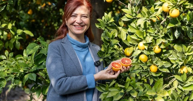 Mersin kan portakalında hedef AB tescili Mersin Haberleri