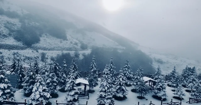 Ladik Akdağ beyaz gelinliğini giydi Samsun Haberleri
