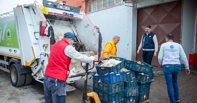 Tüm mahalleyi kötü koku sarmıştı: Nedeni 25 kasa tavuk çıktı!