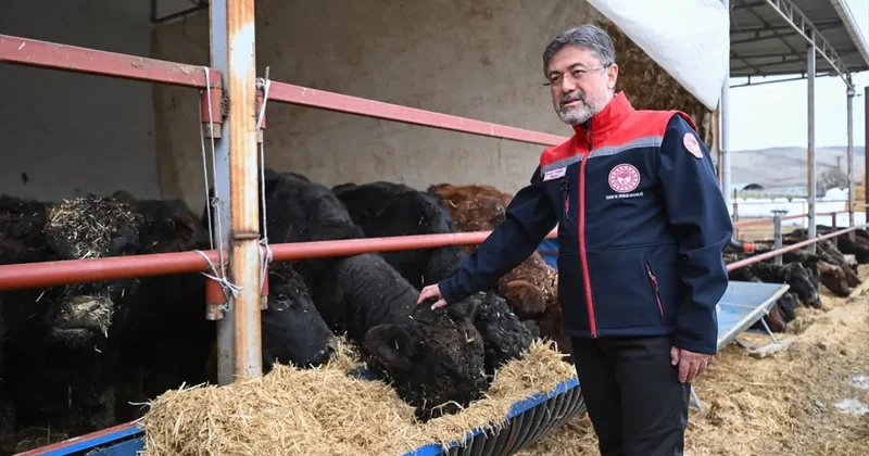 Kırsalda Bereket, Hayvancılığa Destek Projesi meyvelerini vermeye başladı