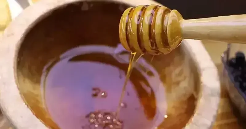 2025 te 100 bin tonun üzerinde bal üretimi beklentisi