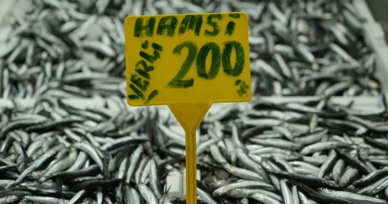 Hamside bolluk azaldı, fiyatı 200 TL ye çıktı